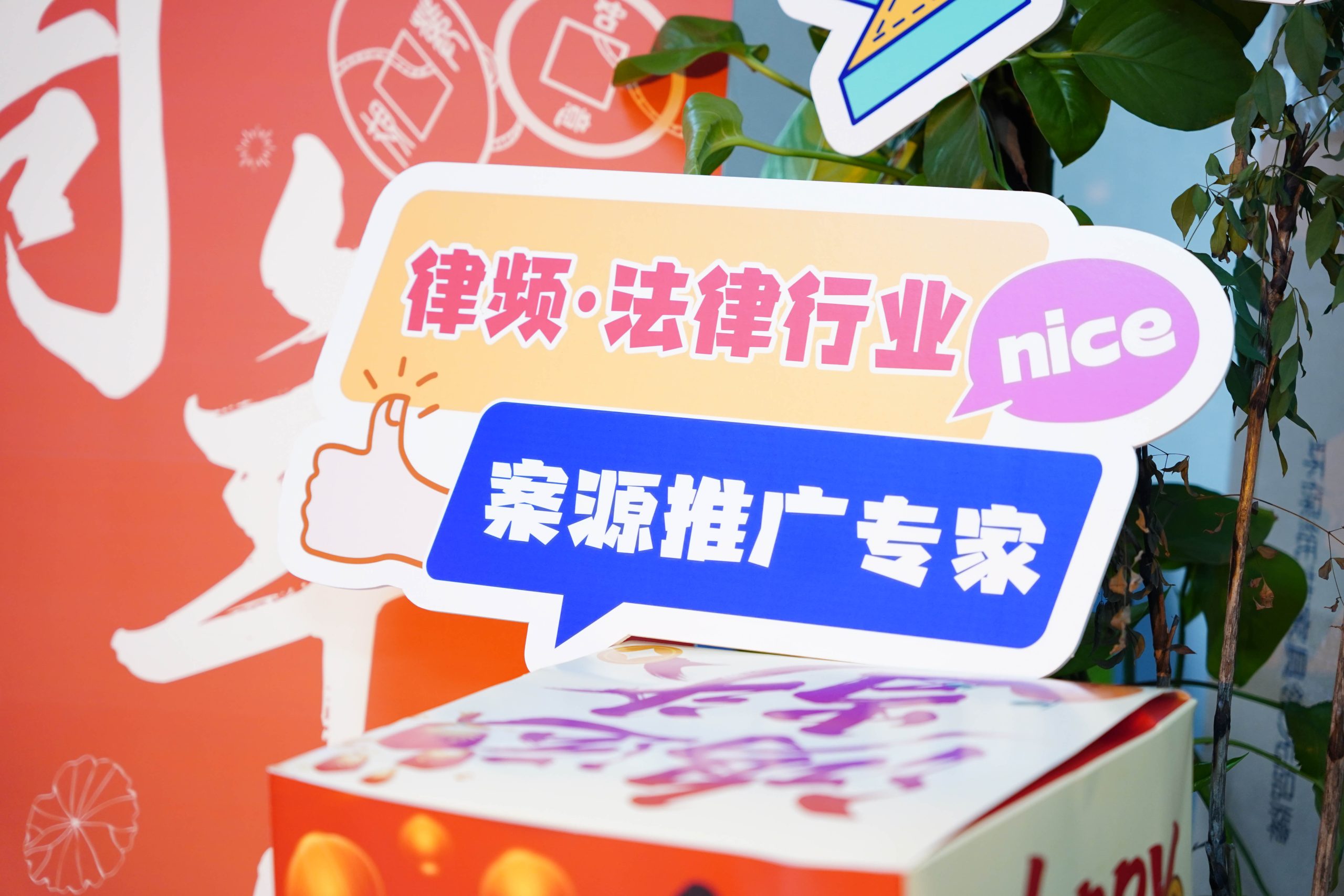 律频5周年